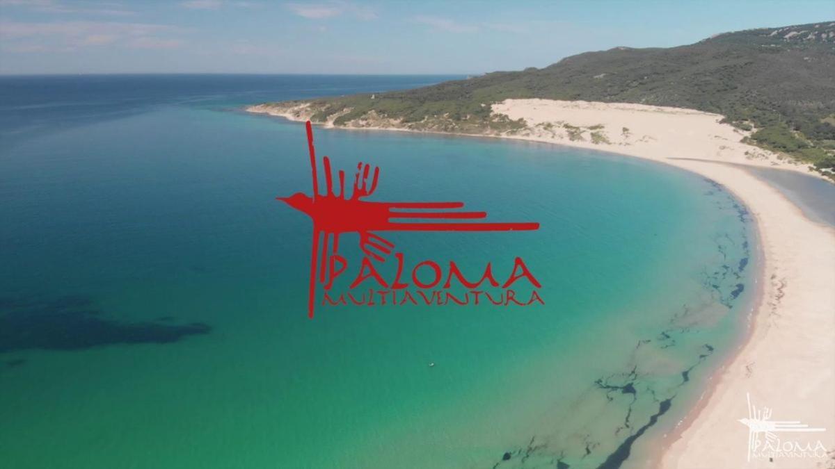 Apartment Lances - Amplio Junto A La Playa Tarifa